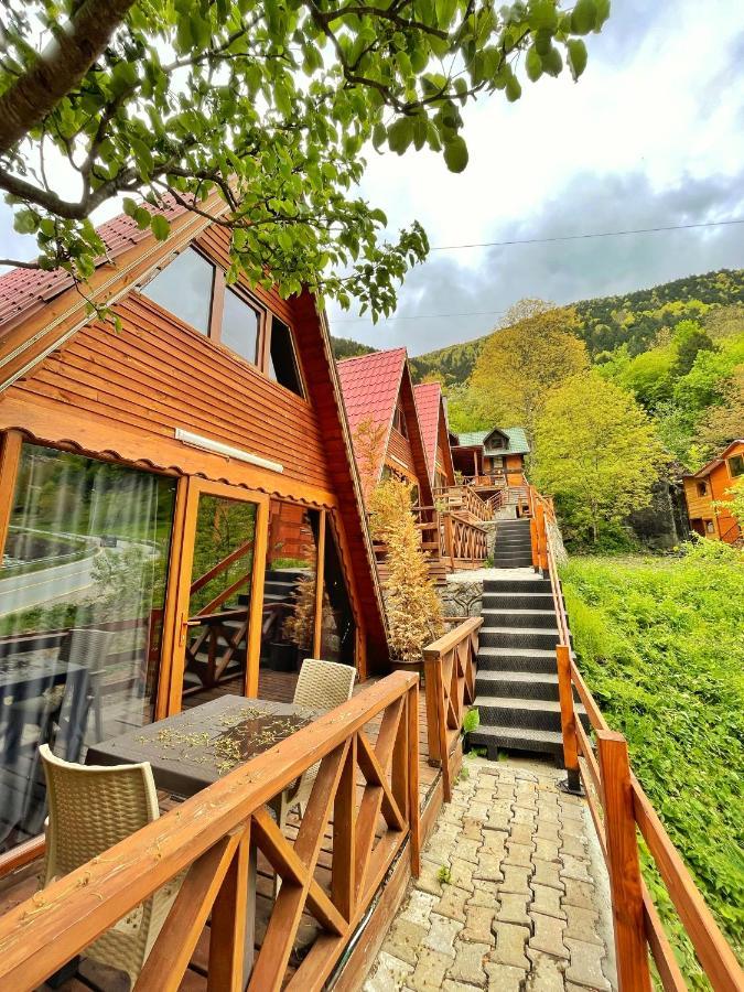 The Wooden House Uzungoel Uzungol Exterior foto