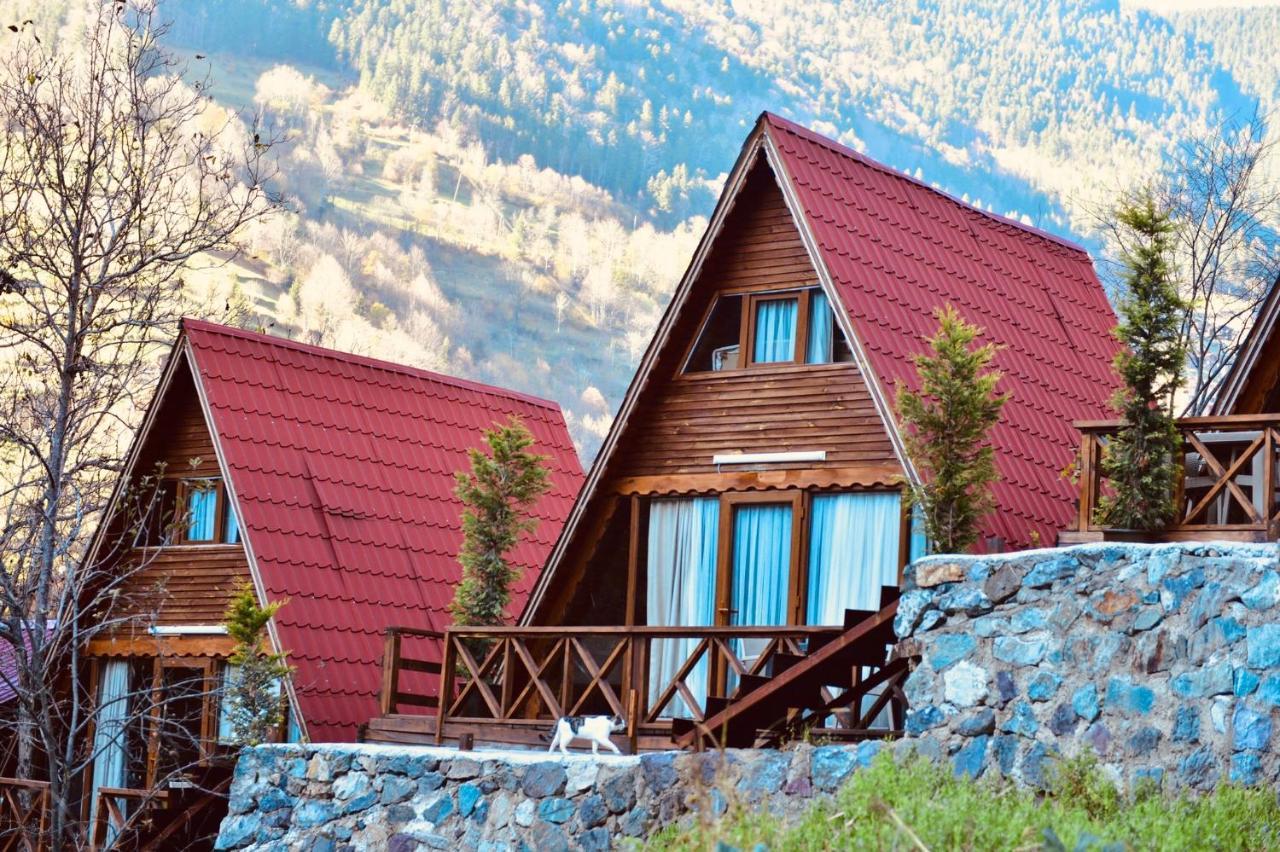 The Wooden House Uzungoel Uzungol Exterior foto
