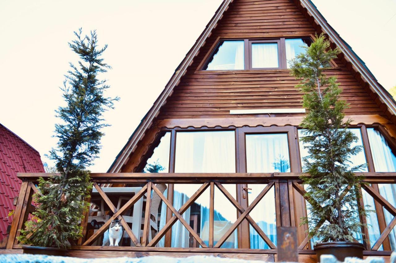 The Wooden House Uzungoel Uzungol Exterior foto
